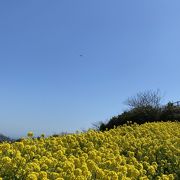 あわじ花さじき