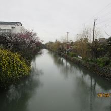 美しい花に囲まれた水郷