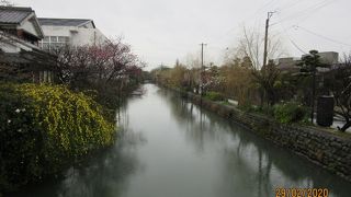 大雨でしたが実に面白かった。