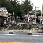 天日槍尊（アメノヒボコ）を主祭神とする歴史ある神社。