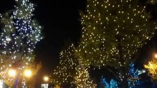 2020年も開催できるといいですね！