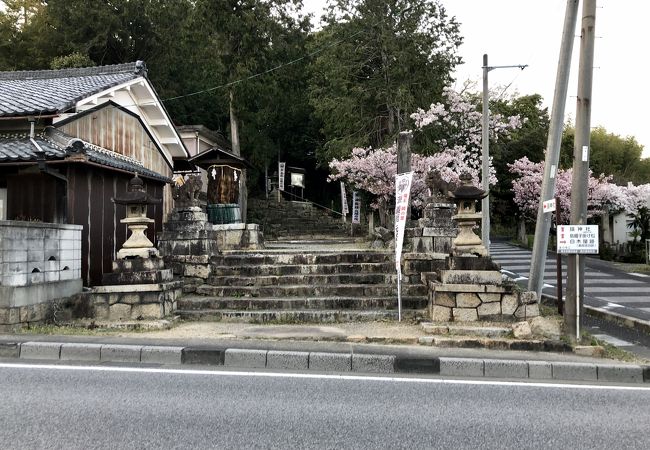 天日槍尊（アメノヒボコ）を主祭神とする歴史ある神社。