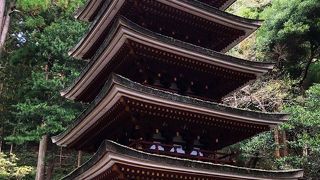 森の緑に映える五重塔。