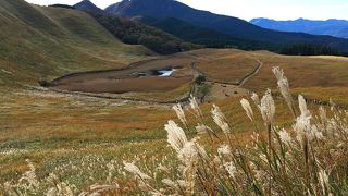 ススキの名所。