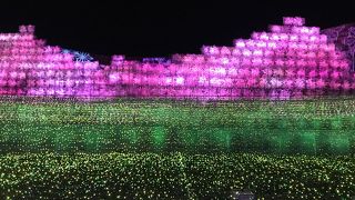 圧倒的なスケールです