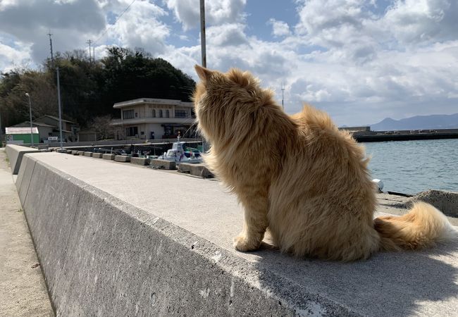 男木島 クチコミ アクセス 営業時間 高松 フォートラベル 男木島 クチコミ アクセス 営業時間 高松 フォートラベル