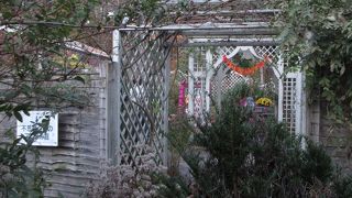 イングリッシュガーデン