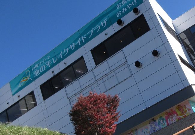 白樺リゾート 池の平レイクサイドプラザ クチコミ アクセス 営業時間 白樺湖 蓼科 車山 フォートラベル