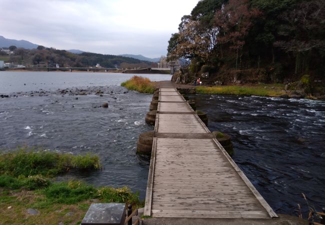 亀山公園 クチコミ アクセス 営業時間 日田 フォートラベル