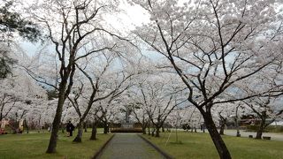 白石城址の公園