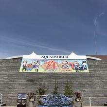 初の大洗水族館！