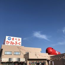 めんたいパークへ