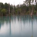 文字通りの青い池。不思議なまで青い