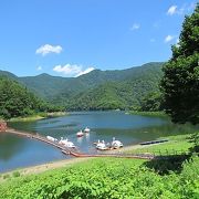 浮桟橋でダム湖の島へ