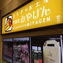 見るだけでも楽しい