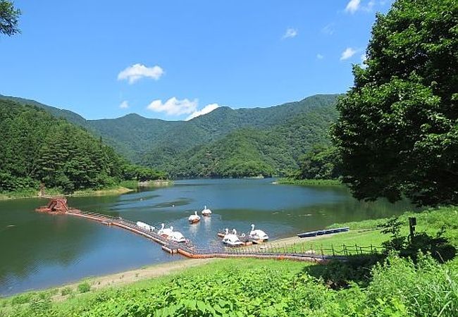 二子島森林公園オートキャンプ場