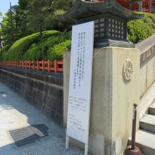 階段にも上がれません