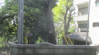 山手公園