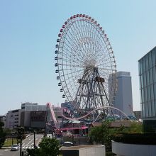 歩道橋の途中から観覧車
