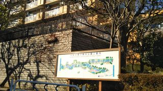 じゃぶじゃぶ池も