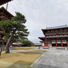 薬師寺　西塔 