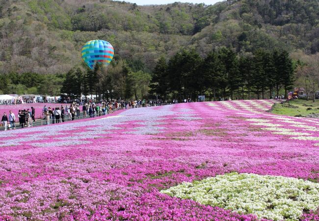 気球から花畑を眺めるのも楽しそうです♪