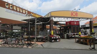 ドイト (西新井店)