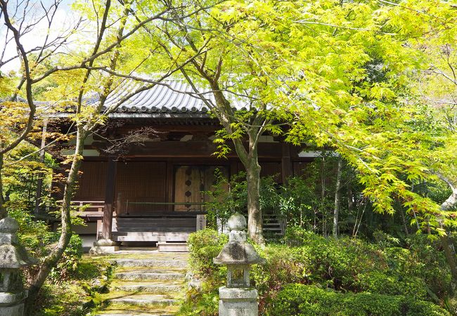 紅葉のきれいなモミジ寺