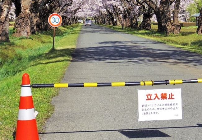 岩手県立花きセンター