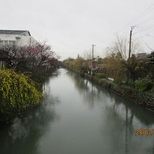 水郷に沿った風情ある遊歩道