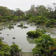 多数の黒松・庭石・石灯籠の配された立派な庭園