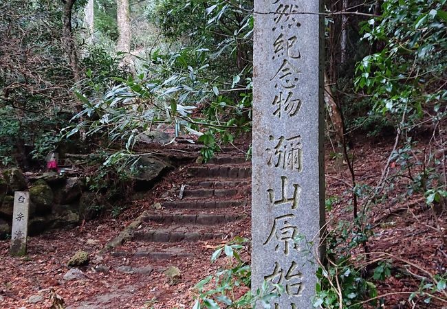 弥山原始林 クチコミ アクセス 営業時間 宮島 厳島神社 フォートラベル 弥山原始林 クチコミ アクセス 営業時間 宮島 厳島神社 フォートラベル