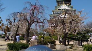 観光地かつ地元民の憩いの場。