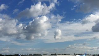 色んな目線で飛行機を見られる。