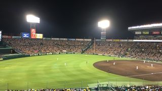 天然芝が美しい。