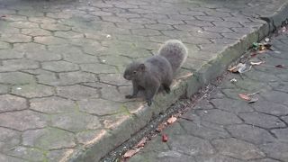 都心にある静かな公園