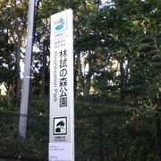 不動前駅西側の広い公園