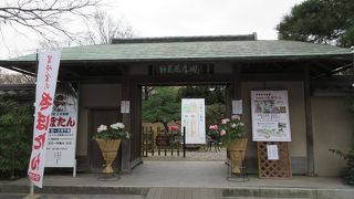 「冬ぼたん」の見ごろの頃で、園内でのんびりと鑑賞させて頂きました。