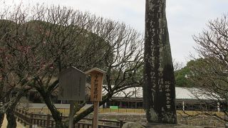 「令和関連歌碑」という案内板が横に建てられていました。