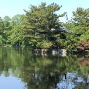 天然記念物の池がある公園