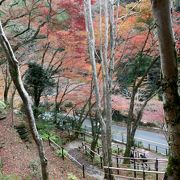 紅葉のころ、人出も少なく、京都の秋を満喫した