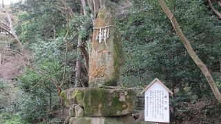 浅草や上野不忍池あたりにも同様の石碑がありますし、興味深く感じました。