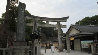 太宰府天満宮のシンボルともいえる梅の花も咲き始めていて、目を楽しませてくれました。