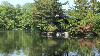 天然記念物の池がある公園