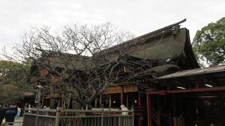 残念ながら季節が早かったのか梅の花を見ることは出来ませんでした。