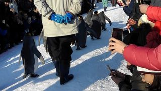 楽しもう　動物園！