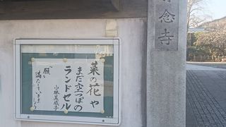 本堂のシルエットがとてもモダンです