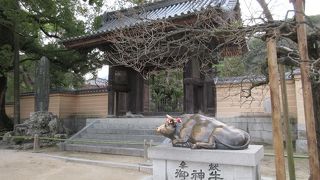 受験生と思しき人を含めて大勢の方が撫でていました。