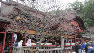 周りを木の柵で覆ってあり、大切に保存されていることが分かりました。