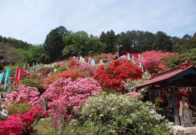    　 大高取山登山途中五大尊ツツジ園に寄りました